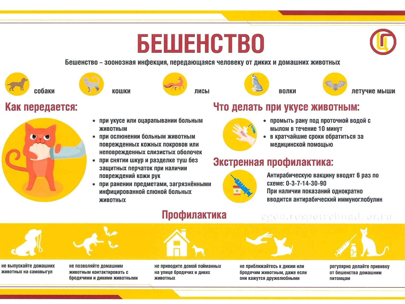 Осторожно, бешенство!.