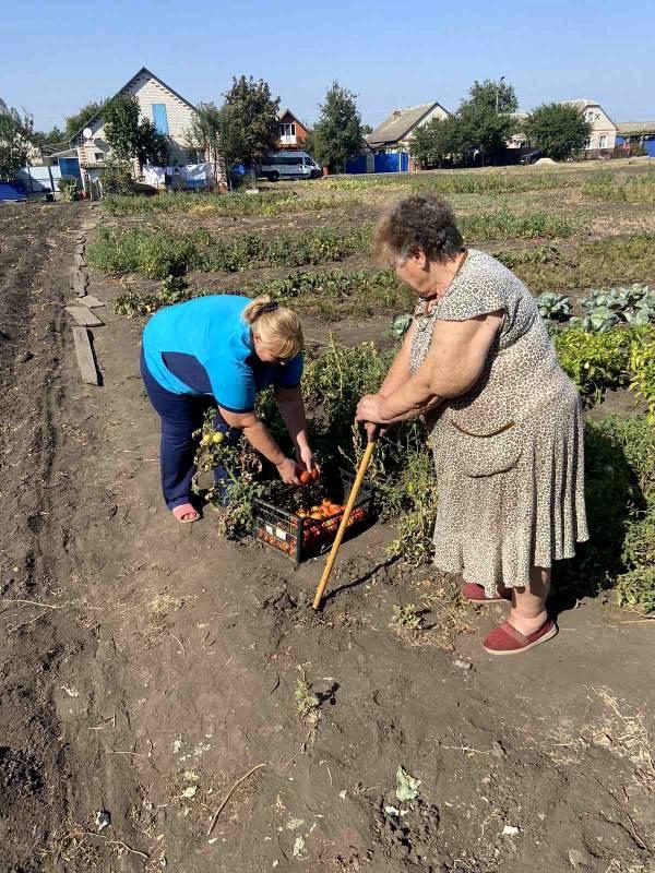 Более 120 ракитянцев старшего возраста получили помощь в рамках акции «Добрый огород».