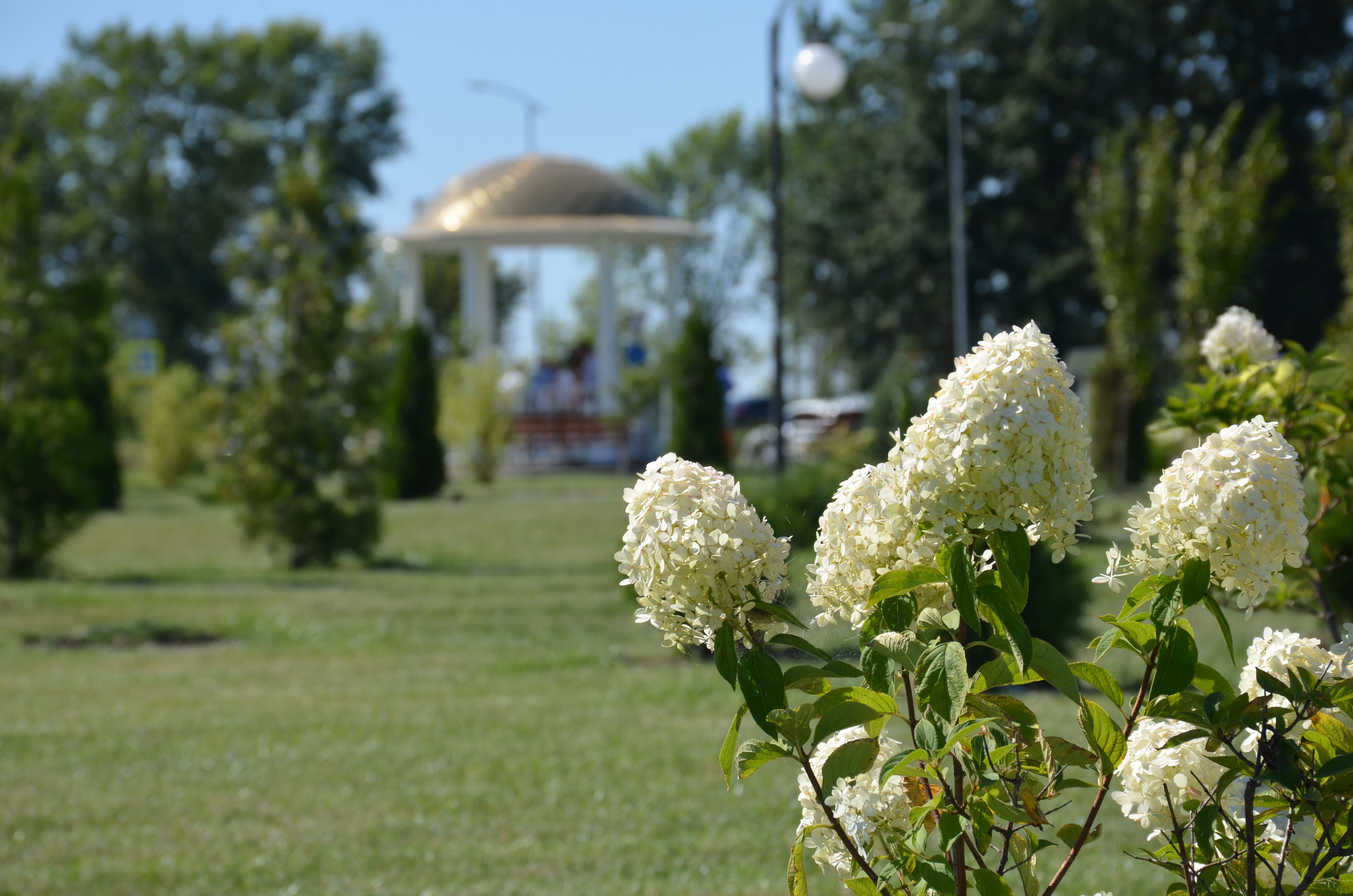 В Ракитянском районе стартовал конкурс по благоустройству и озеленению «С любовью к малой родине».