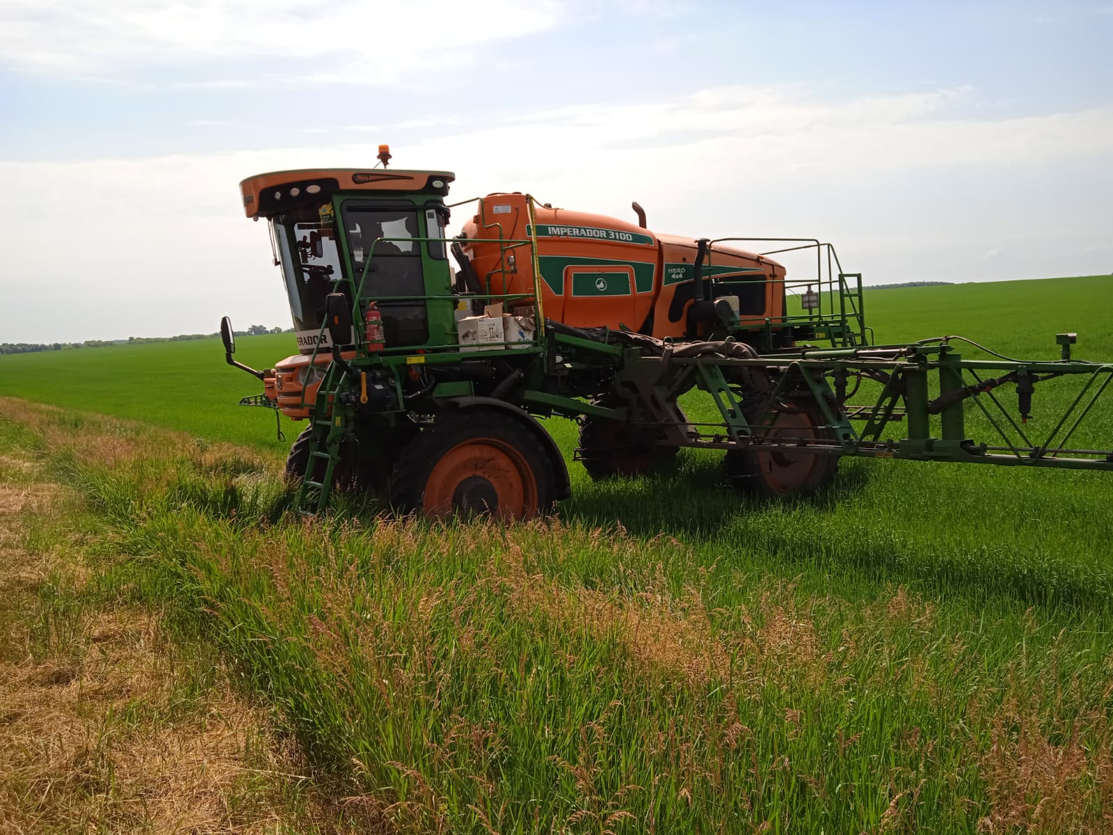 В сельхозпредприятиях Ракитянского района активно ведутся работы по уходу за посевами.