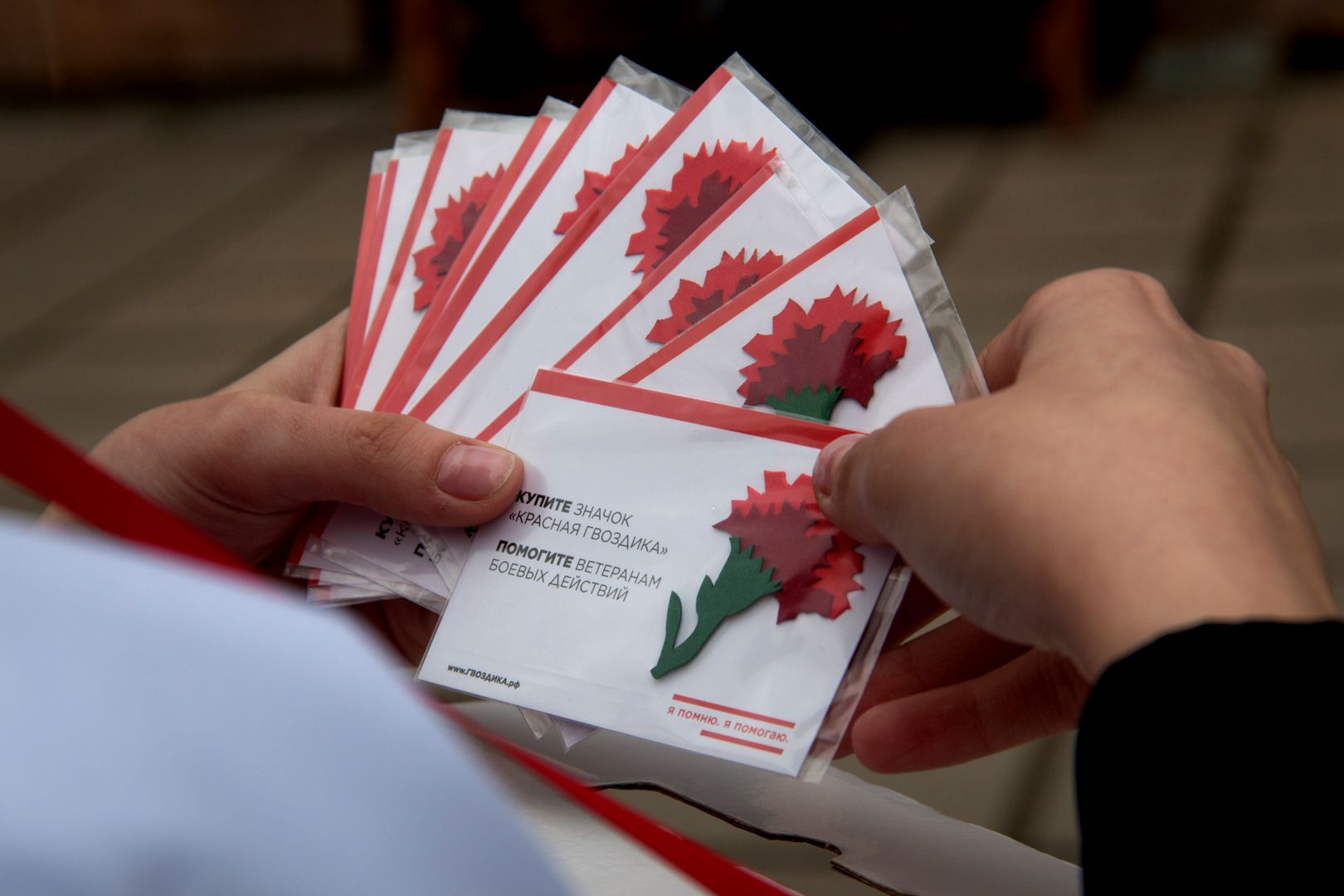 В нашей стране уже девятый год подряд проводится Всероссийская благотворительная акция «Красная гвоздика».