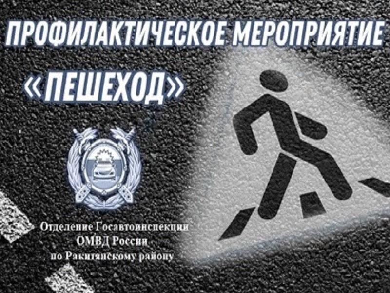 В Ракитянском округе пройдут мероприятия, направленные на профилактику ДТП с участием пешеходов.