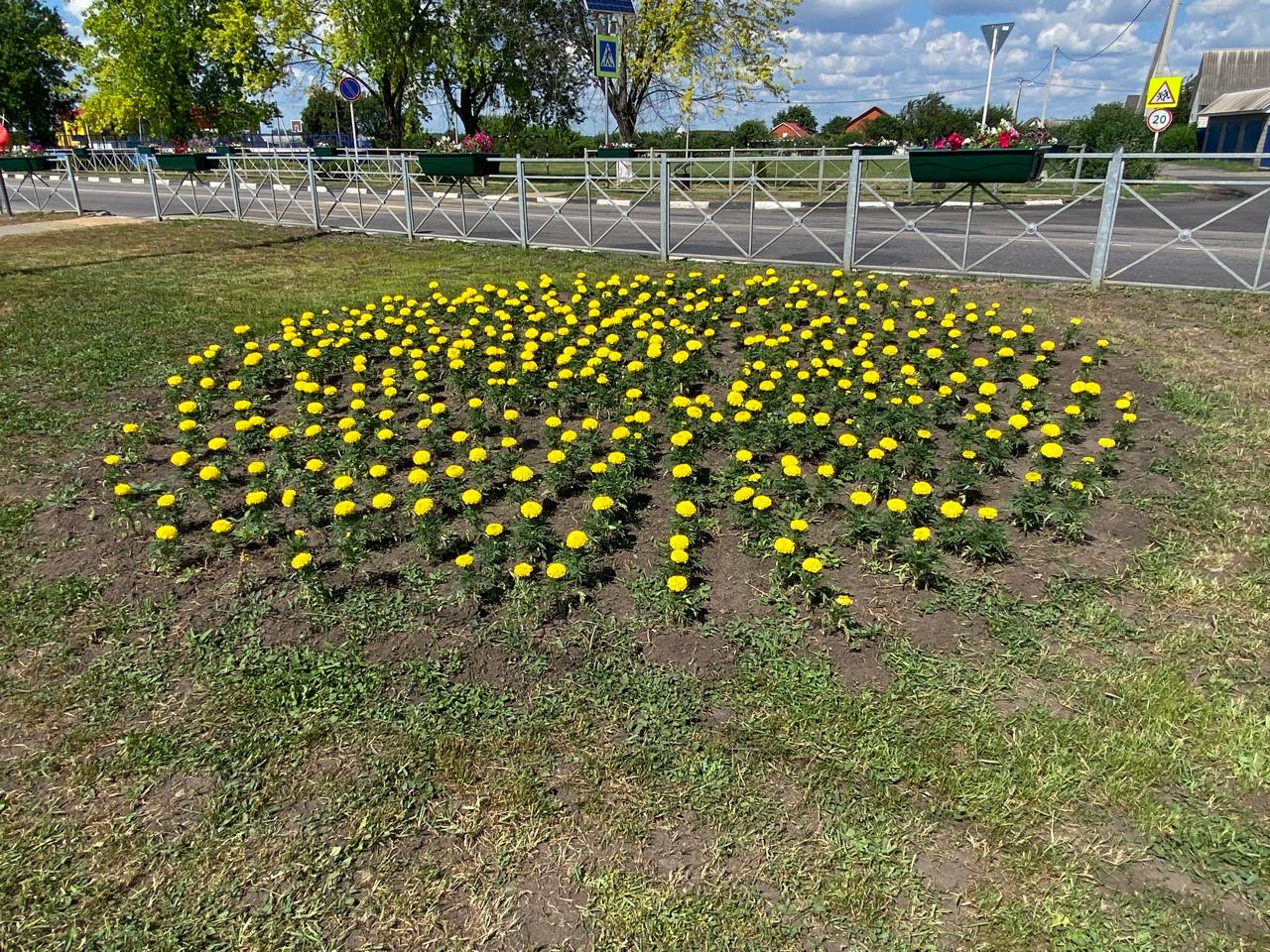 В этом году в Ракитном и Пролетарском высадили рекордное количество цветов.