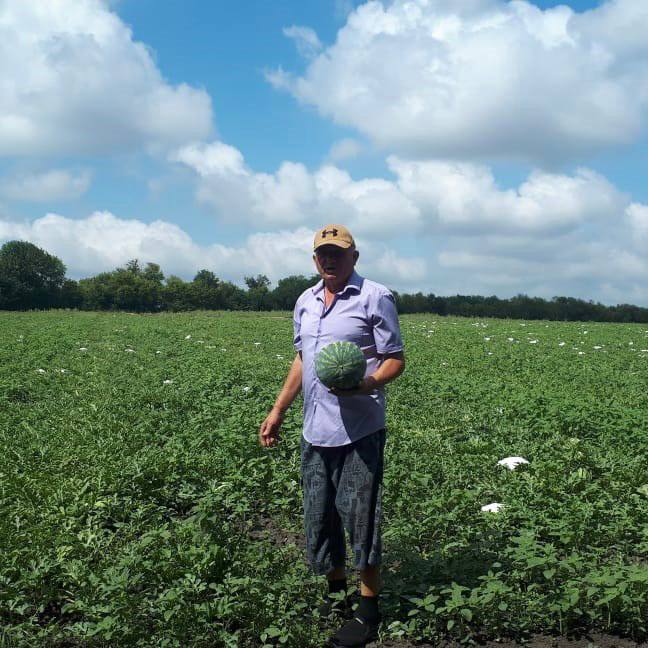 В Ракитянском районе успешно развивается фермерское хозяйство Виктора Рогового.
