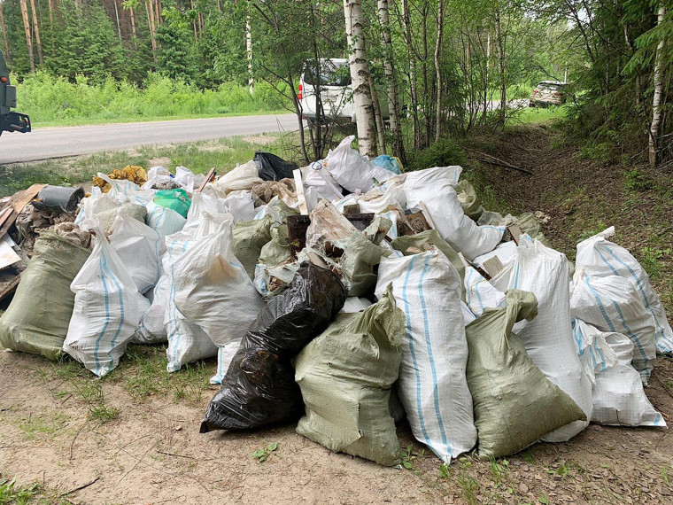 Прокуратурой Ракитянского района по обращению жителя с. Центральное выявлена несанкционированная свалка бытовых отходов.