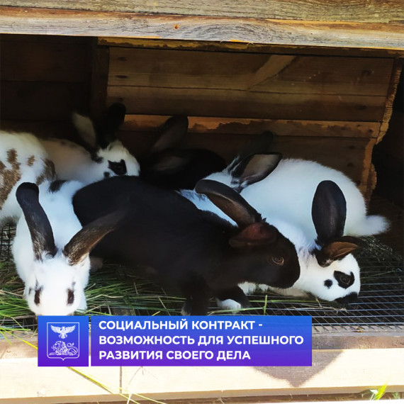 Успешным примером реализации социального контракта является семья Софии Круговой, которая проживает с родителями в п. Пролетарский. Успешным примером реализации социального контракта является семья Софии Круговой, которая проживает с родителями в п. Пролетарский.