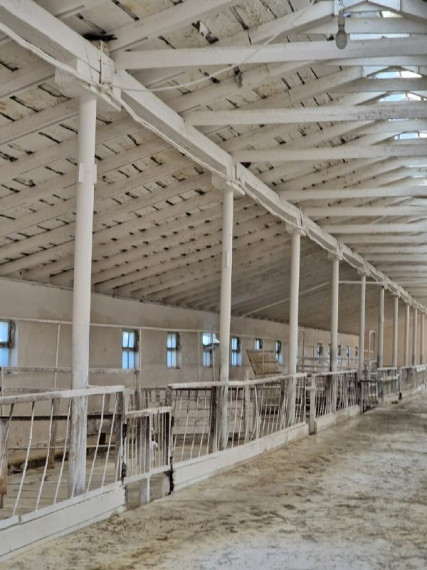 В животноводческой отрасли Ракитянского района наступил ответственный период - подготовка помещений к зимовке скота.