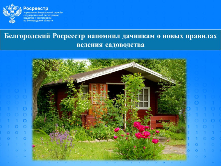 Белгородский Росреестр напомнил дачникам о новых правилах ведения садоводства.