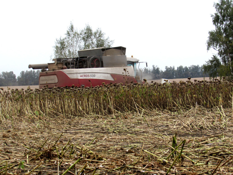 Сельскохозяйственные предприятия Ракитянского района приступили к уборке подсолнечника.