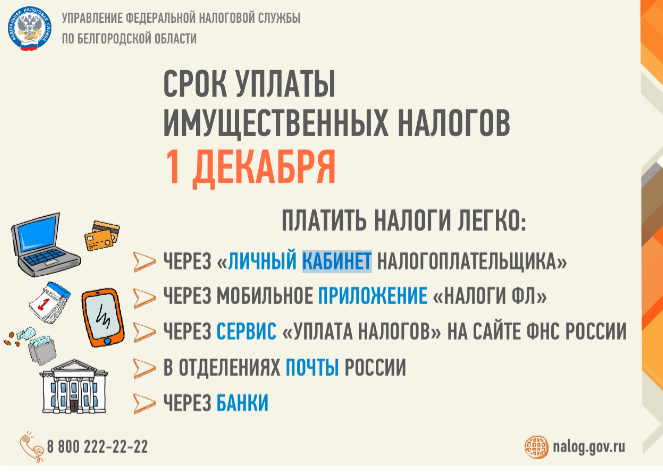 Собственники имущества начали получать налоговые уведомления на уплату имущественных налогов.