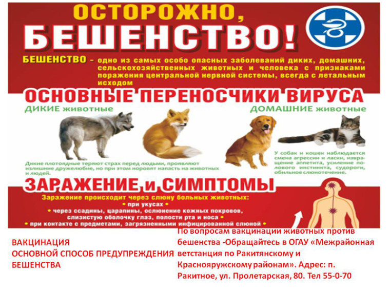 Опасное вирусное заболевание. Опасное вирусное заболевание.