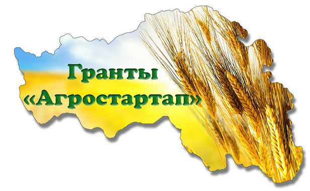 Объявлен конкурс по отбору граждан и крестьянских (фермерских) хозяйств или индивидуальных предпринимателей для предоставления грантов «Агростартап».