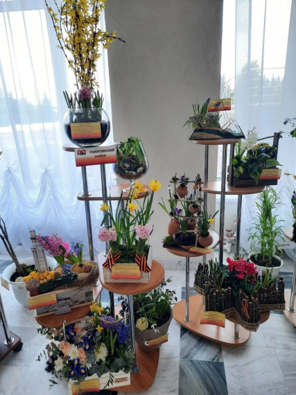 Коллектив и обучающийся Ракитянской станции юных натуралистов стали призёрами областной выставки-конкурса выгоночных цветочно-декоративных растений.