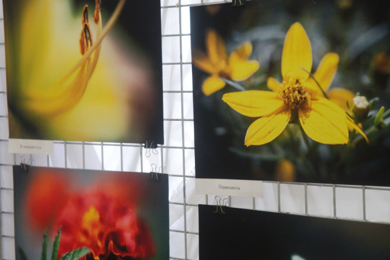 В Краеведческом музее – усадьбе князей Юсуповых открылась фотовыставка «Краски весны».