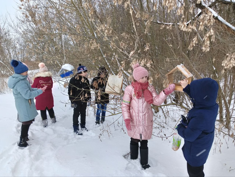 Ракитянцы стали победителями в областном конкурсе «Покормите птиц зимой».