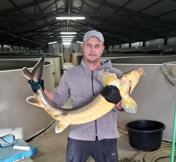 Два фермера из Ракитянского района стали победителями конкурса «Агростартап».