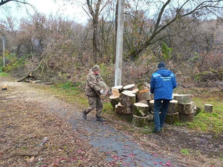 В Ракитянском округе полным ходом идёт заготовка дров на зиму.