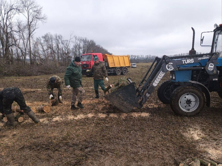 В Ракитянском округе полным ходом идёт заготовка дров на зиму.